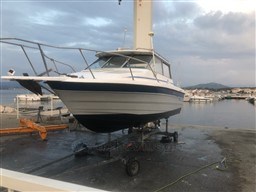 cddbb_gwxtx_bayliner_trophy_bandol_76_.jpg