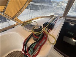c4017_ydsjd_img_9412.jpg