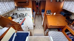 e8a9e_k9hot_20250221_145650.jpg