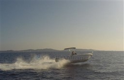 1af8e_fmvho_img_9065.jpg