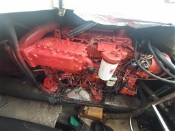 41280_0ltnu_20231017_135450.jpg