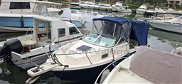 75670_nn5ud_20250415_152553.jpg