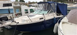 550ff_msmal_20250415_152613.jpg