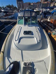72aa1_divni_20231122_130130.jpg