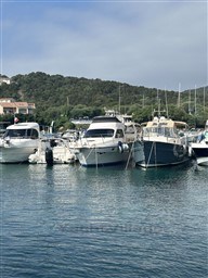 bd36a_1ido0_img_4032.jpg
