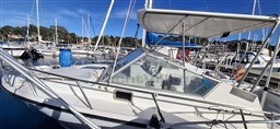 b093c_tezqm_20250129_150301.jpg