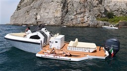 9710b_viux4_ala8-20.jpg