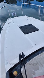 99413_wmglg_1703152252245.jpg