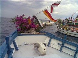 afae7_gwsw5_1000002141.jpg