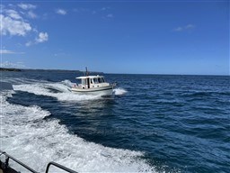 31773_lwibi_img_4860.jpg