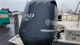 e0e61_fkdxd_yamaha250quatretempsrhea27.jpg