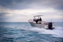 60748_dp8d6_bateau_a_moteur_hors-bord_rhea_marine_3_.jpg