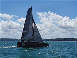 8ec6d_myhfh_dehler_30_od_occasion_6_.jpg