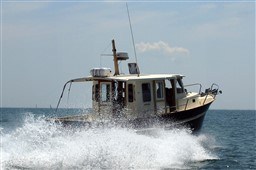 22440_ukivd_rhea-marine-850-timonier_20_web.jpg
