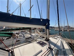 8fea8_qmkqs_sun-ofyssey-39i_00027.jpg