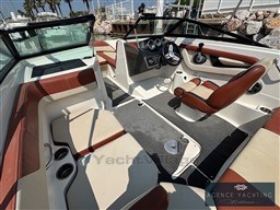 de617_rze3w_sea-ray-190_00017.jpg