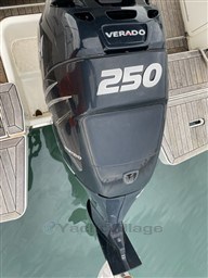 c434f_249_744_2.jpg
