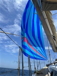 4779c_249_906_3.jpg