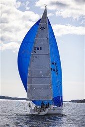 81c80_2.jpg