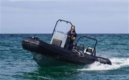265d5_3_410310.jpg