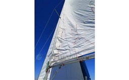 54529_2_966477.jpg