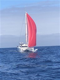 dcf54_uop2s_img_3234.jpg