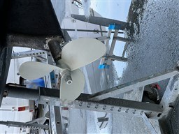 343ef_nybpu_img_0929.jpg