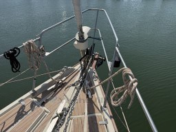 af46c_r8wy0_img_7494.jpg