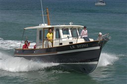 38923_243_73_1.jpg