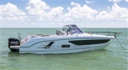 fc32c_243_663_2.jpg