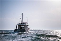 aa50c_243_568_5.jpg