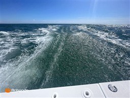 4b4f6_i2378_1779179585.jpg