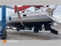 31263_i286_1777535713.jpg