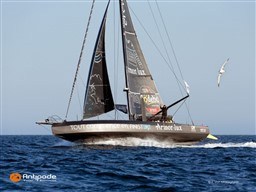 d62bf_i666_1773226897.jpg