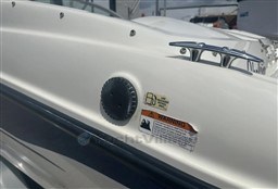 52394_tyynzvwxrttyctpjnjlw.jpg