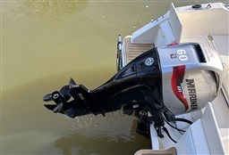 9155e_arttmcptsrxqdlykscbv.jpg