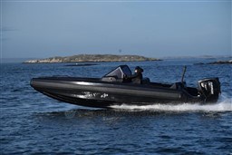 36126_9.jpg