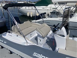 e3973_3.jpg