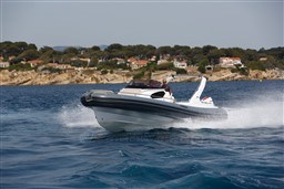 d818c_3.jpg