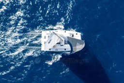 dd47b_czvlu_a50sail-exterior-running-sails-up-aquila_7.jpg