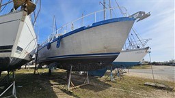 ca1df_160_729_7.jpg