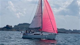 655d3_382_629_1.jpg