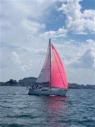 1afdd_382_629_3.jpg