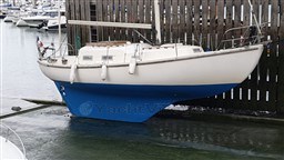 10691_382_575_1.jpg