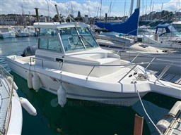 961e3_382_614_8.jpg