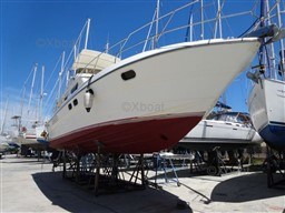 0630b_princess_45_fly-3.jpg