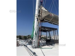 4ac80_bali_catspace_-29.jpg