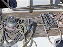 24997_morgante_45-9.jpg