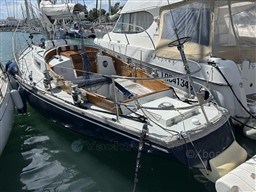 a7ca8_swan_36-15.jpg