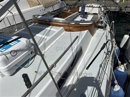 89ad9_swan_36-27.jpg